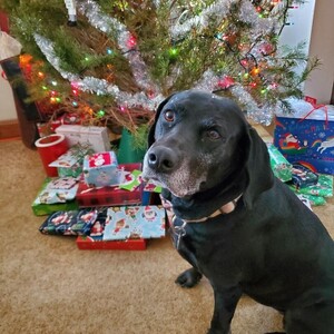 Fundraising Page: Barbara Shaffer